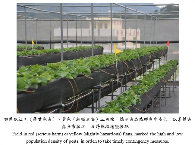 field in red or yellow flags , marked the high and low population density of pets in orden to take timely contingency measures