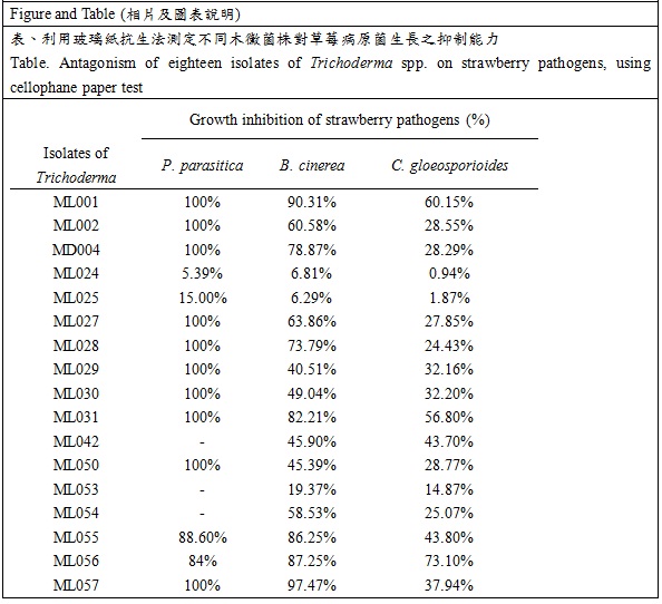 antagonism of eighteen isolates of trichoderma spp on strawberry pathogens, us cellophane paper test