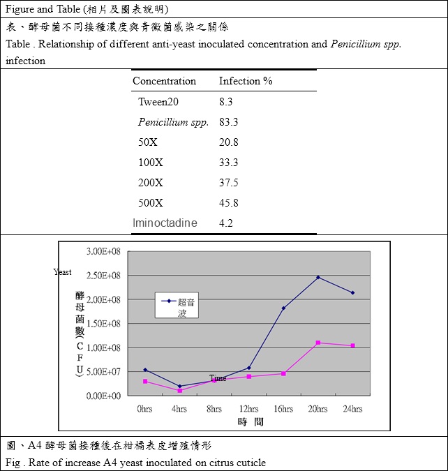 rate of increase A4 yeast inoculated on citrus cuticle