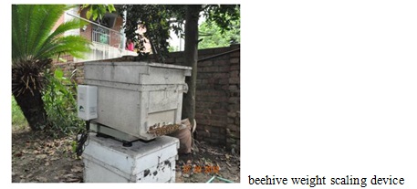 beehive weight scaling device