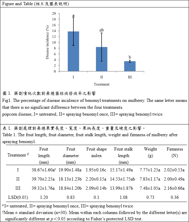 the fruit length,fruit diameter, fruit stalk length,weight and firmness of mulberry after spraying benomyl.