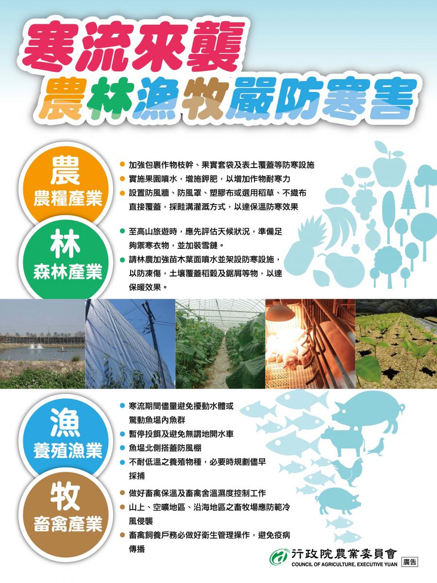 寒流來襲農林漁牧嚴防寒害說明圖