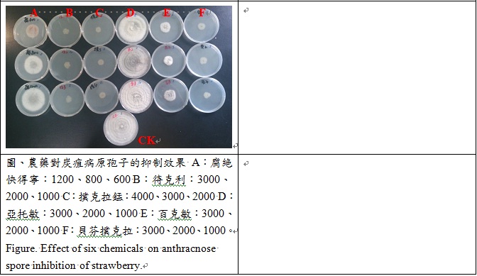 effect of six chemicals on anthracnose spore inhibition of strawberry