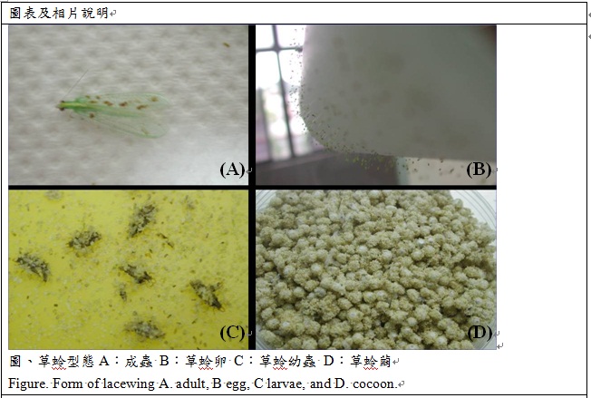 5.jpg figure. form of lacewing A. adult, B egg, C larvae, and D cocoon.