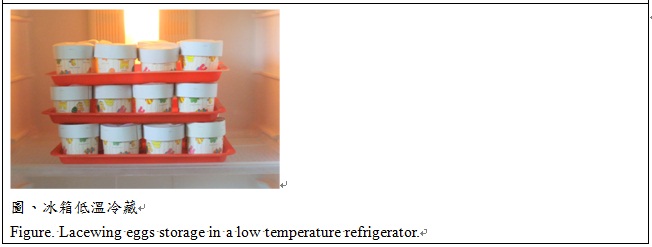 6.jpg figure. lacewing eggs storage in a low temperature refrigerator.