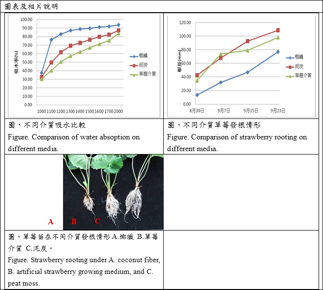 comparison of water absoption on different media and comparison of strawberry rooting on different media