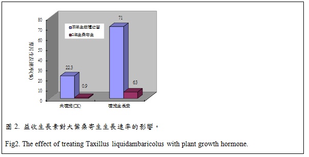 fig2. the effect of treatuing Taxillus liquidambaricolus with plant growth hormone