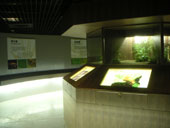 天然及夜間昆蟲展示區
