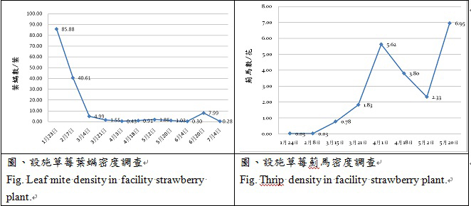 leaf mite and thrip density in facility strawberry plant