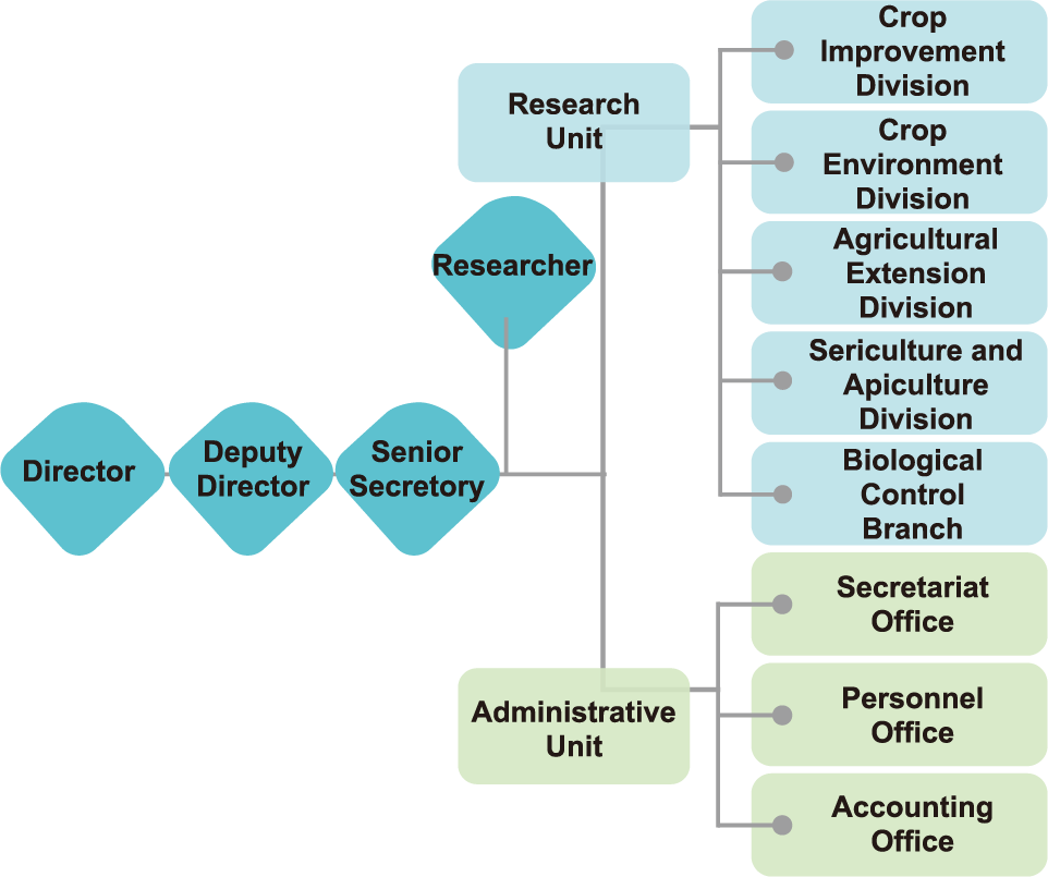 Organization and Staff